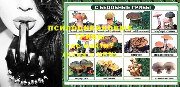 сатива Магадан