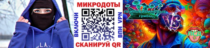 закладка  hydra как зайти  Псилоцибиновые грибы GOLDEN TEACHER  Белёв 